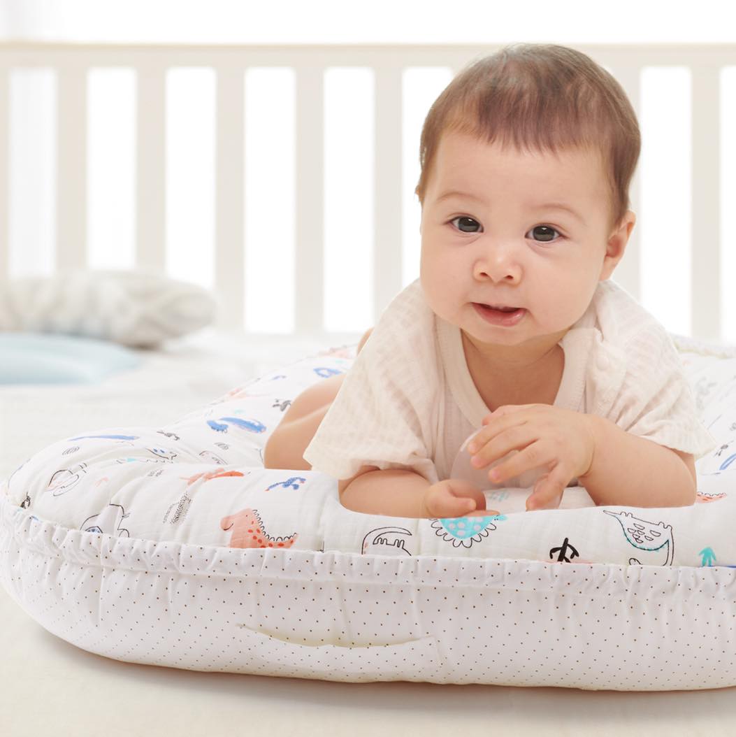 Dinosaur Baby Lounger
