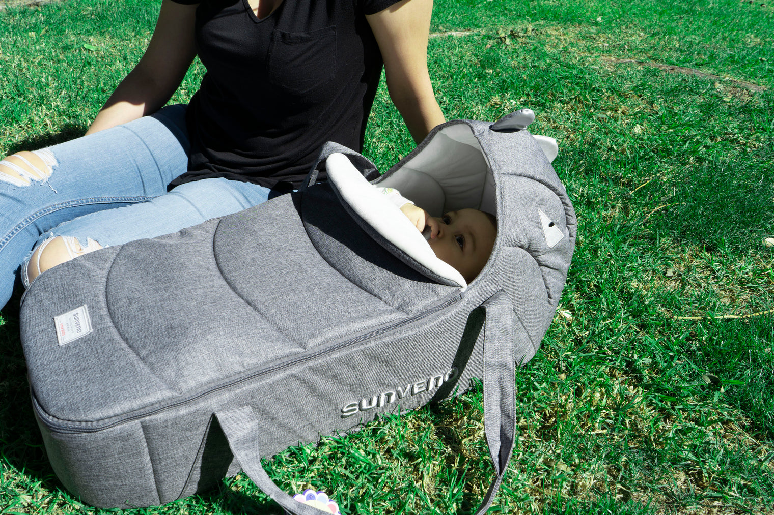 The Portable Dinosaur Carrycot