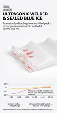 Load image into Gallery viewer, Double Layer Breast Milk Cooler Bag & Nursing Backpack
